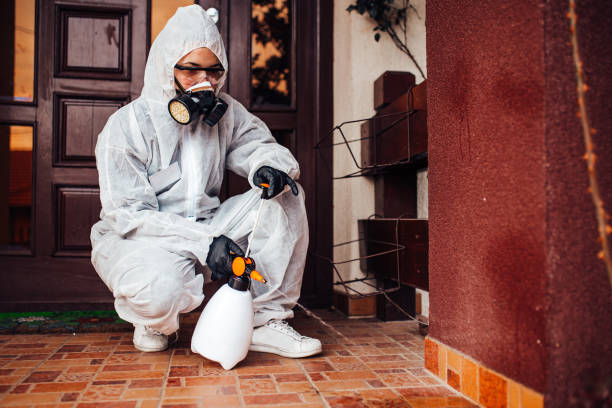 Reliable Wasp Removal contractor in Maryland City, MD by Show Me Pest Control